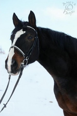 Larie