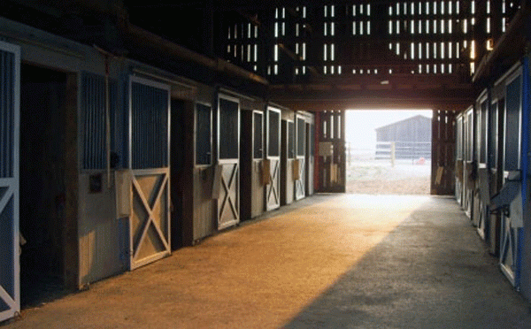d23484ef_fac_stable_interior
